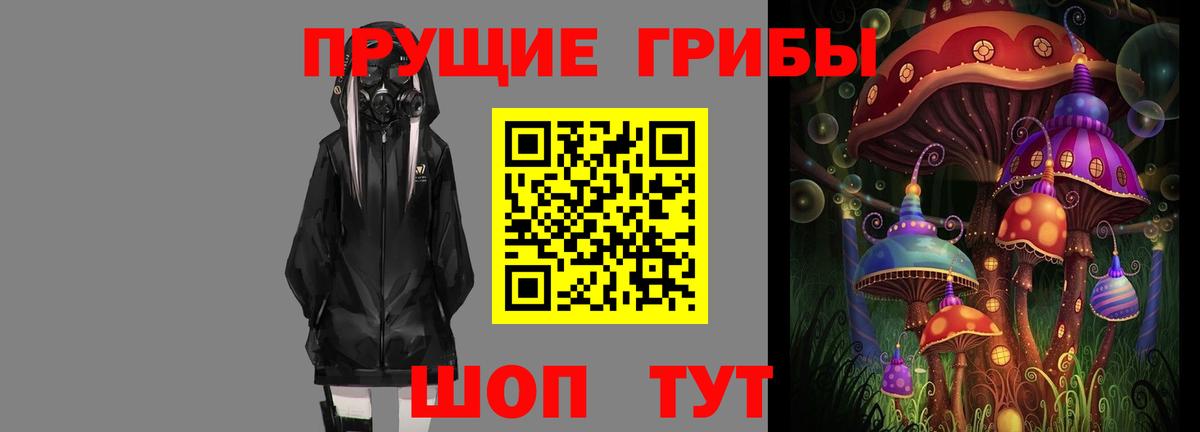 Алатырь  Псилоцибиновые грибы ЛСД  Вход с VPN 